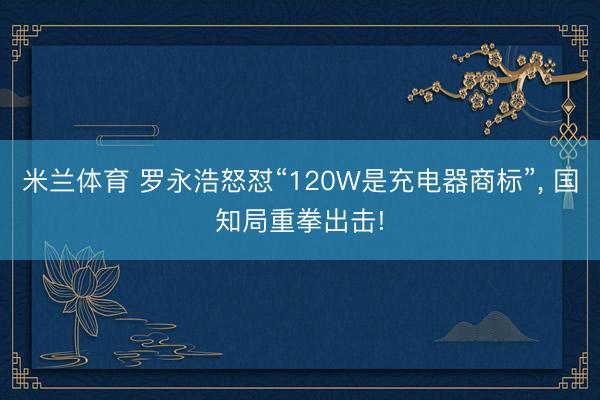 米兰体育 罗永浩怒怼“120W是充电器商标”, 国知局重拳出击!