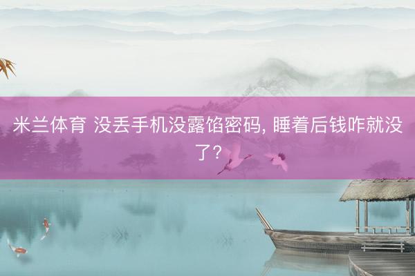 米兰体育 没丢手机没露馅密码, 睡着后钱咋就没了?